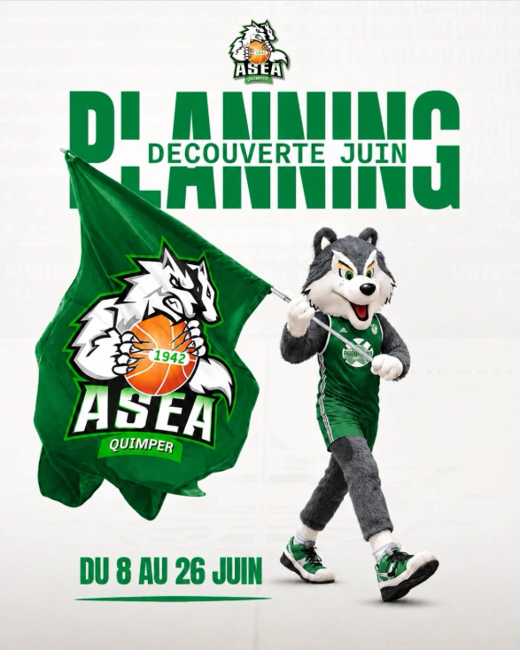 OPEN! PLANNING DECOUVERTE JUIN - asea , basket , quimper , ergué-armel, halle des sports.