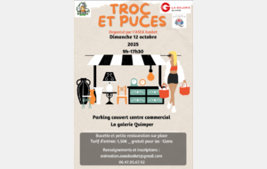 TROC &amp; PUCES de l'A.S.E.A  le 12 OCTOBRE