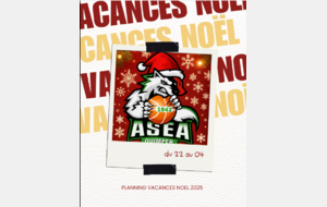 PLANNING VACANCES DE NOËL   BONNES FÊTES A TOUS
