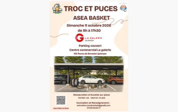 TROC &amp; PUCES de l'A.S.E.A  le 11 OCTOBRE