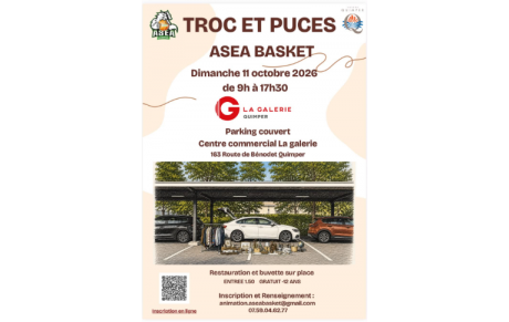 TROC &amp; PUCES de l'A.S.E.A  le 11 OCTOBRE